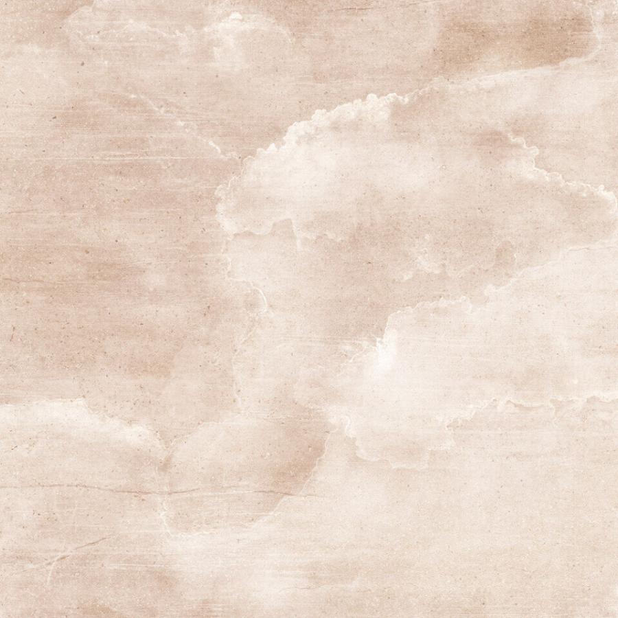 Cloud Nine Rose